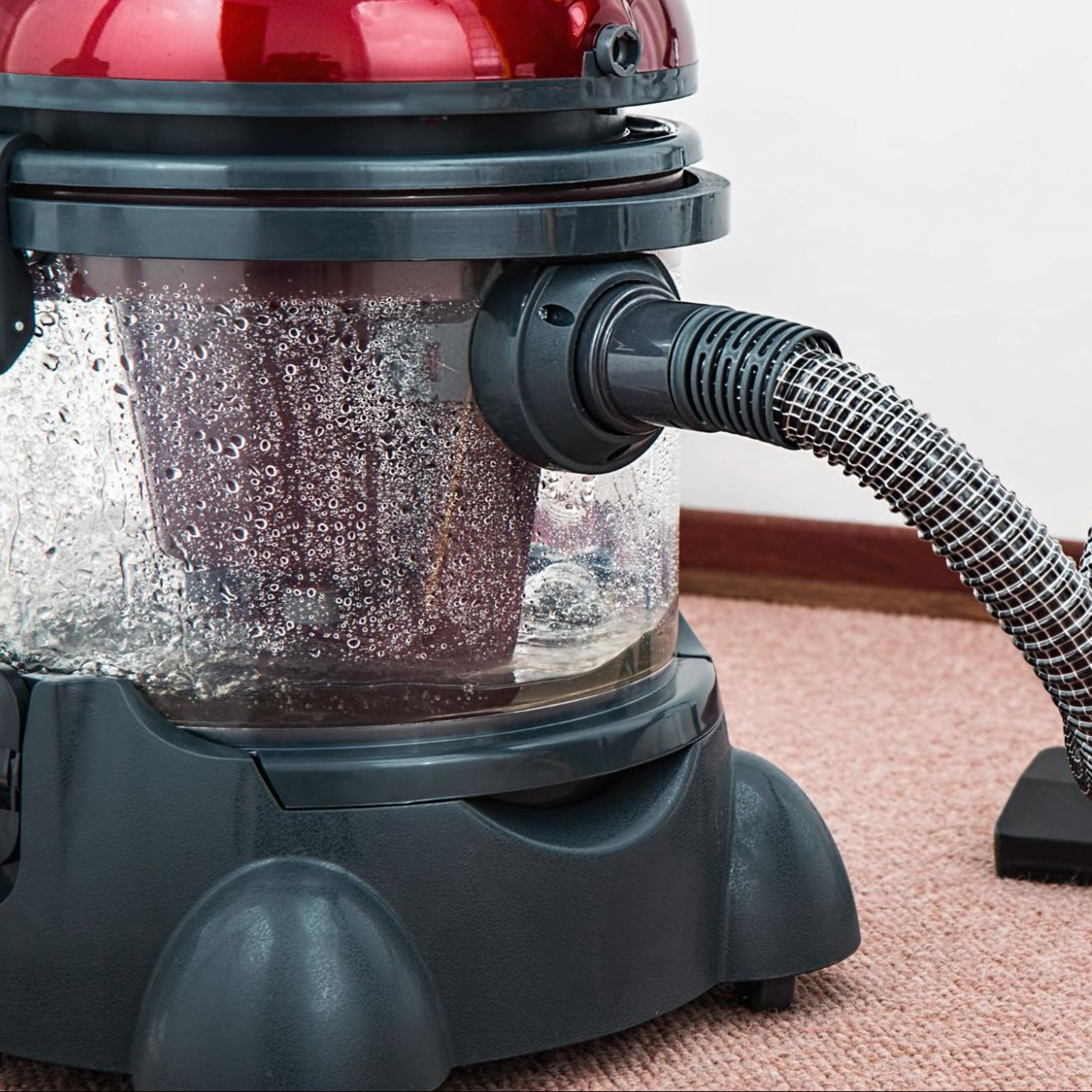 StepbyStep Guide to Steam Clean Your Sofa Nolan Interior