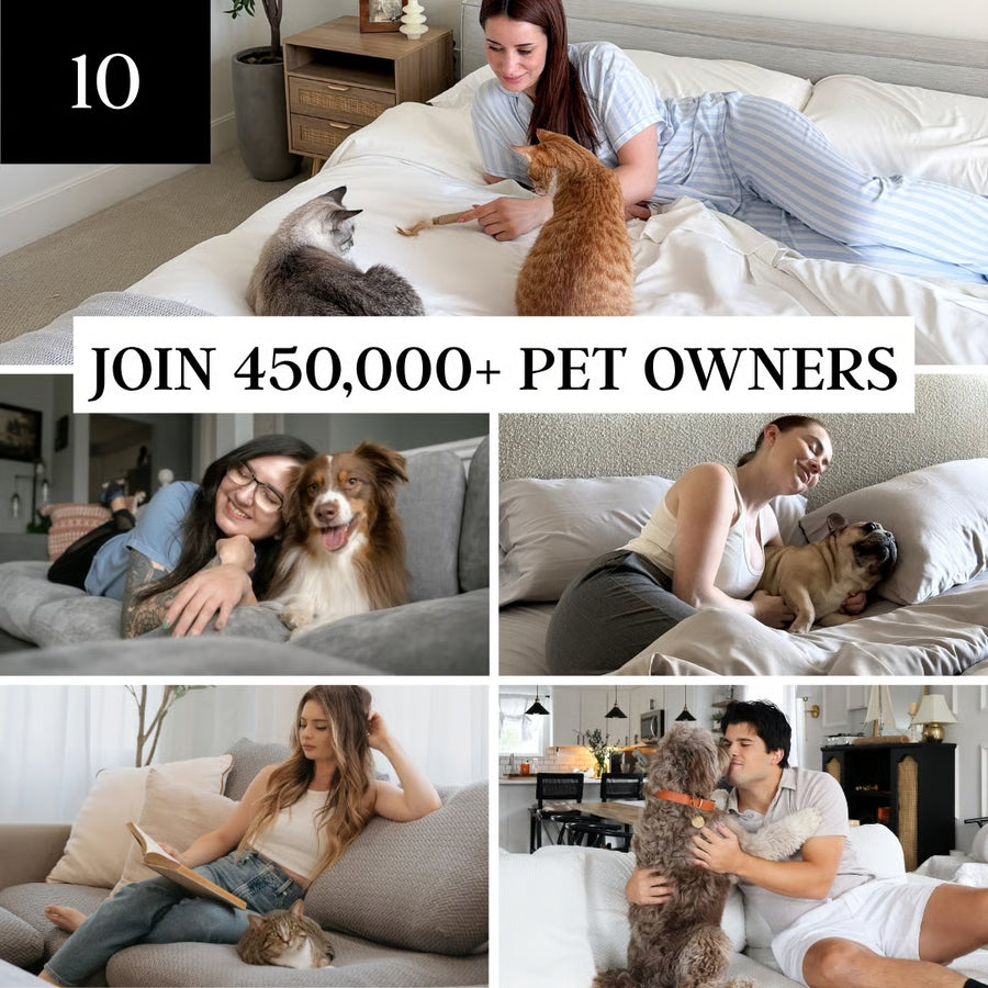Join 450,000 pet owners who already trust Nolan Interior