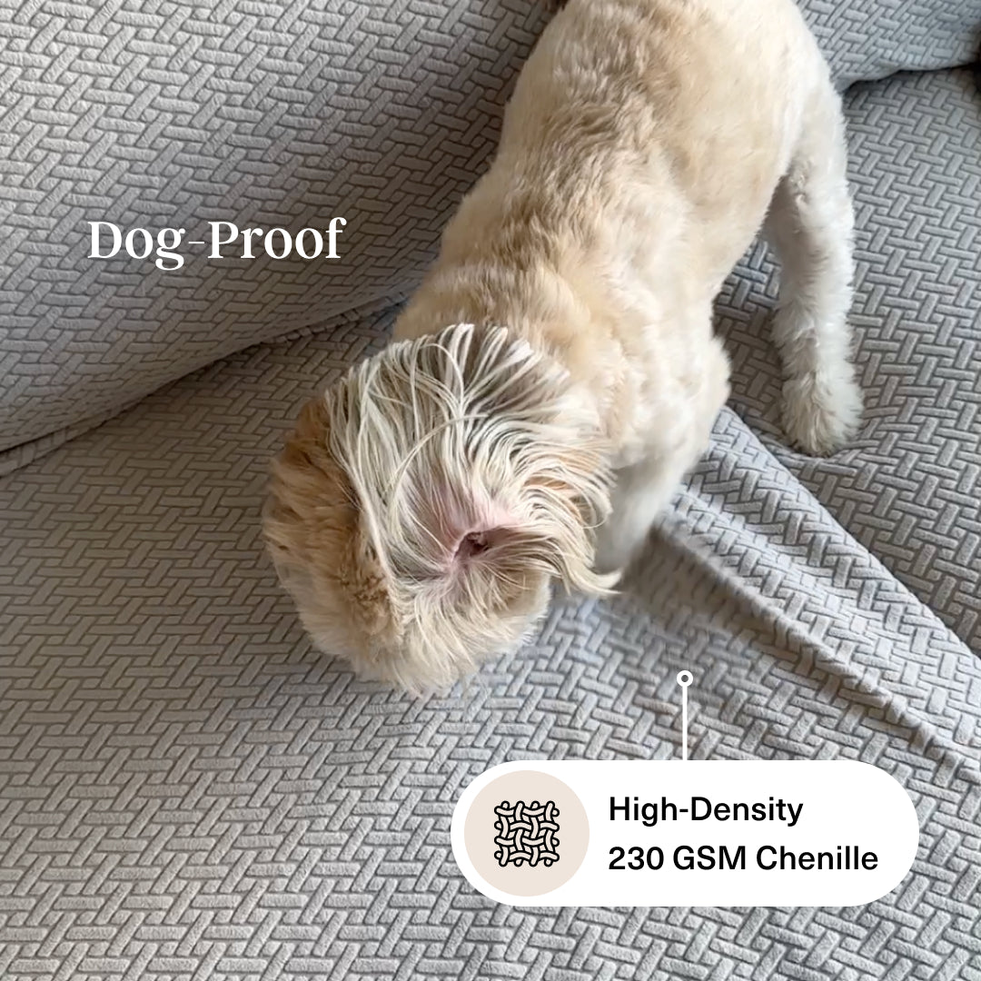 Fluffy dog walking on grey Magic Sofa Cover Classic seat covers, with a 230 GSM fabric callout