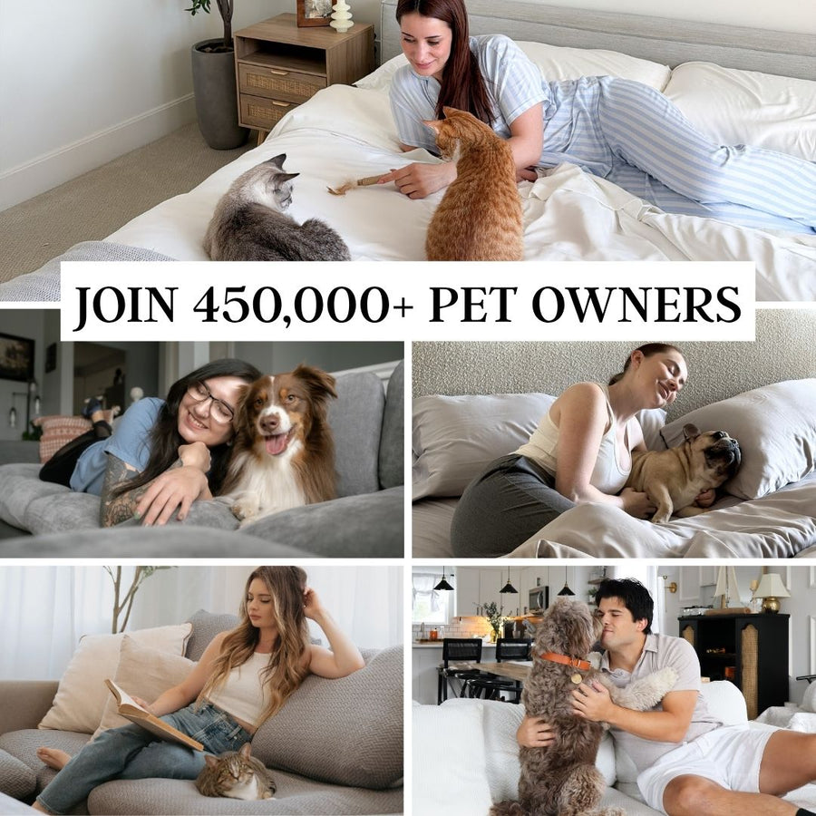 Join 450,000 pet owners who already trust Nolan Interior