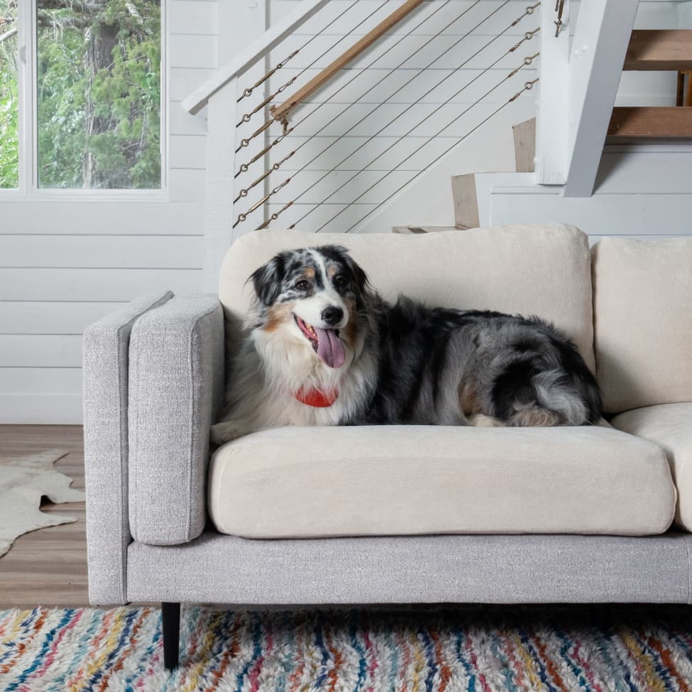 Made for pet homes