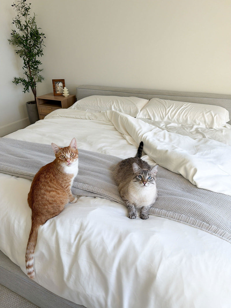 Customer's two cats on a FurAway bed