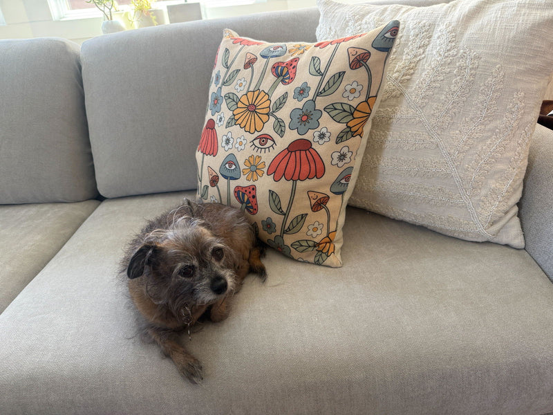 Customer's small terrier on a light grey sofa cover
