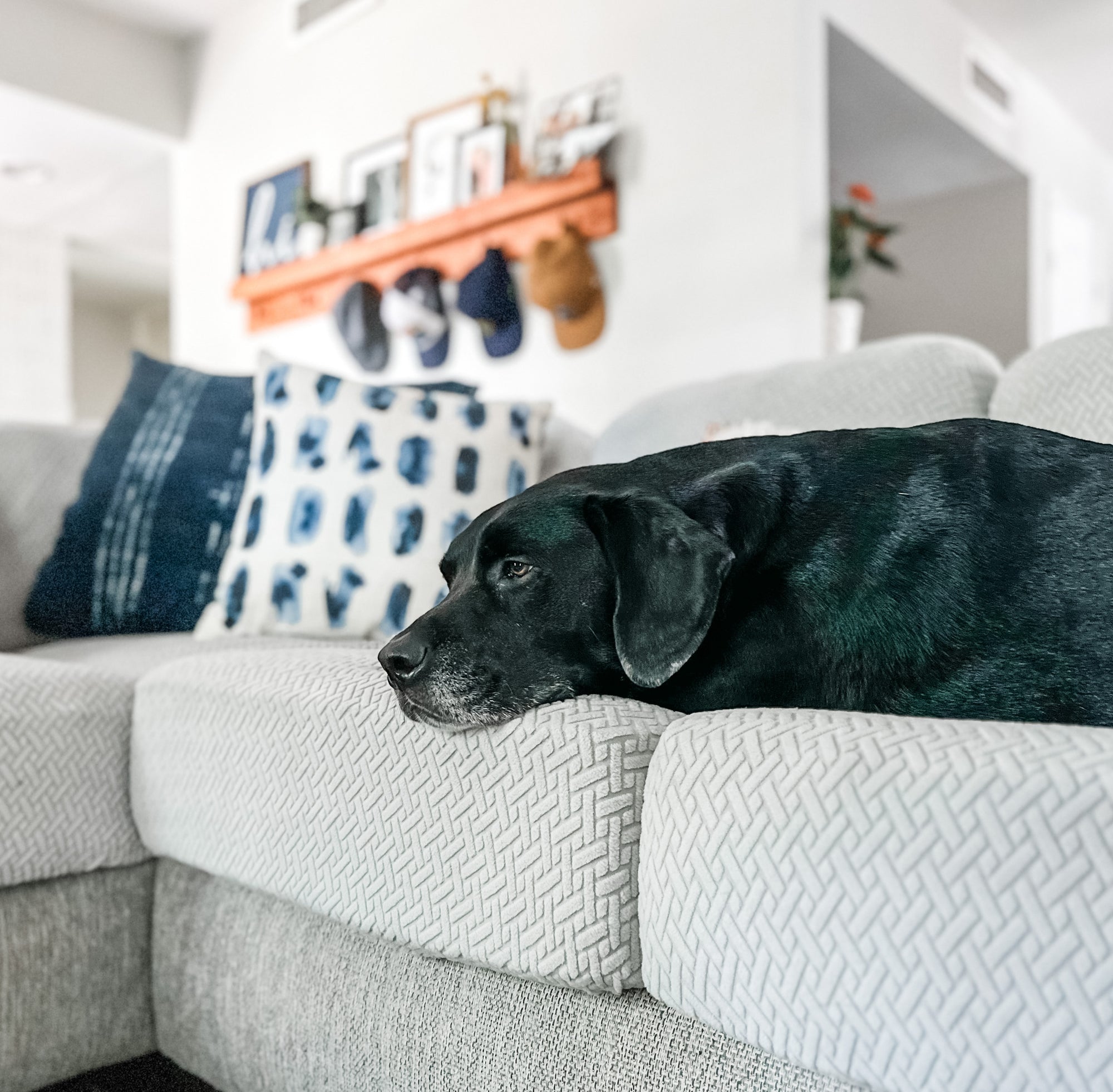 A Fresh Update: How Replacement Couch Cushion Covers Can Revamp Your Home