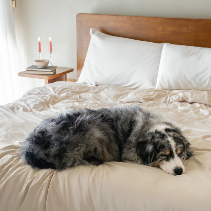 Dog sleeping on a bed made with FurAway bamboo bedding in Sand Beige