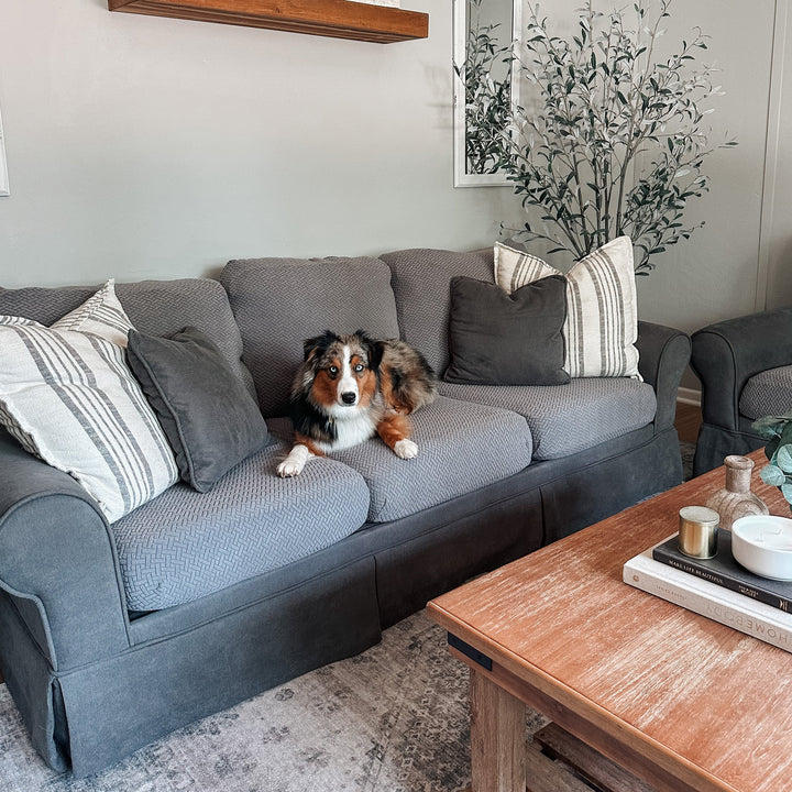 Australian Shepherd lying on a grey sofa with textured stretch seat covers, beside a wooden coffee table