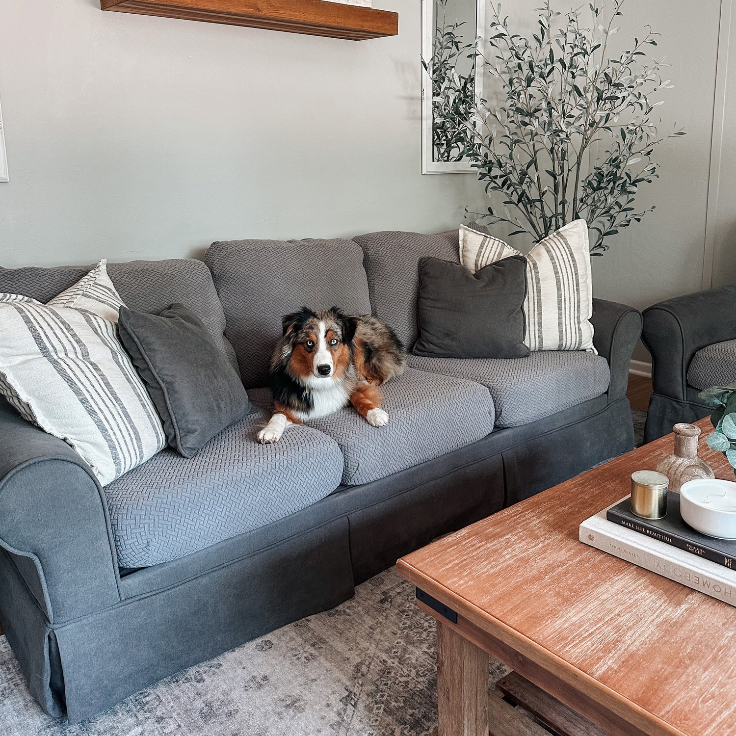 Dog-proofing Your Furniture: How to Protect Your Couch from Your Dog - Nolan Interior