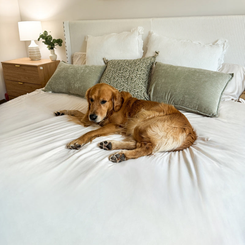 400,000+ homes chose cover over new couch.