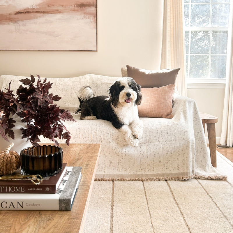 400,000+ homes chose cover over new couch.