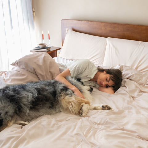 FurAway Bedding