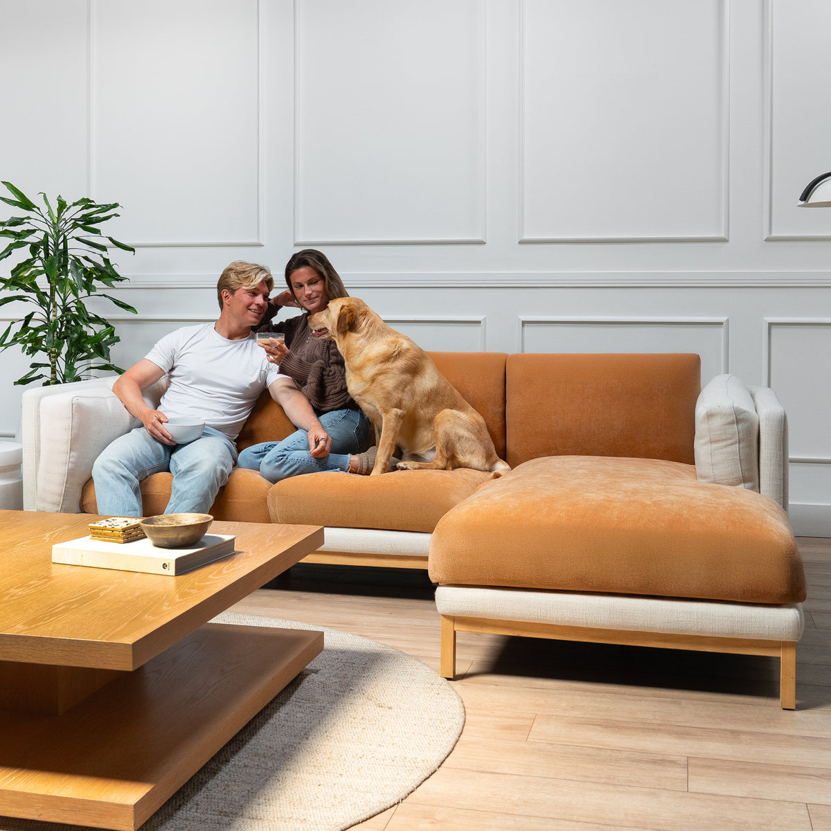 Man, woman and tan dog sit together on an orange plush sectional