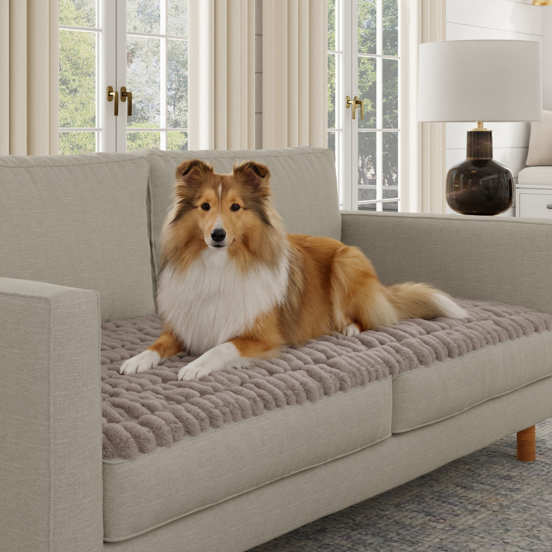 Made for pet homes
