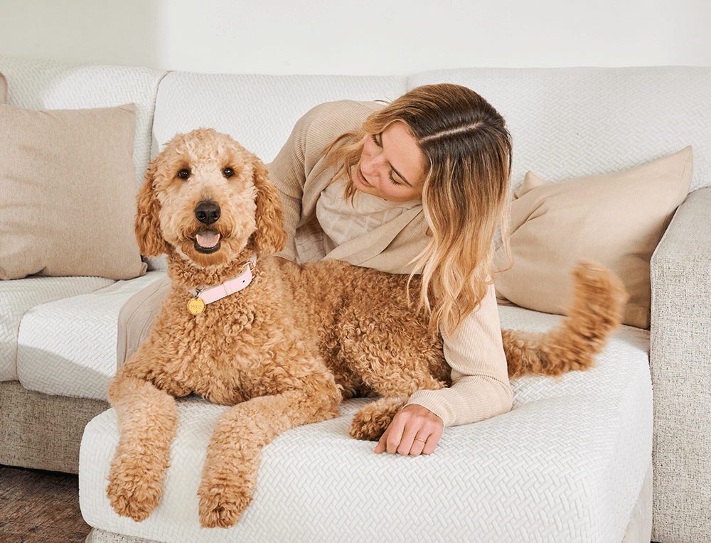 Woman leans beside a curly tan dog on a sofa with a white textured cover