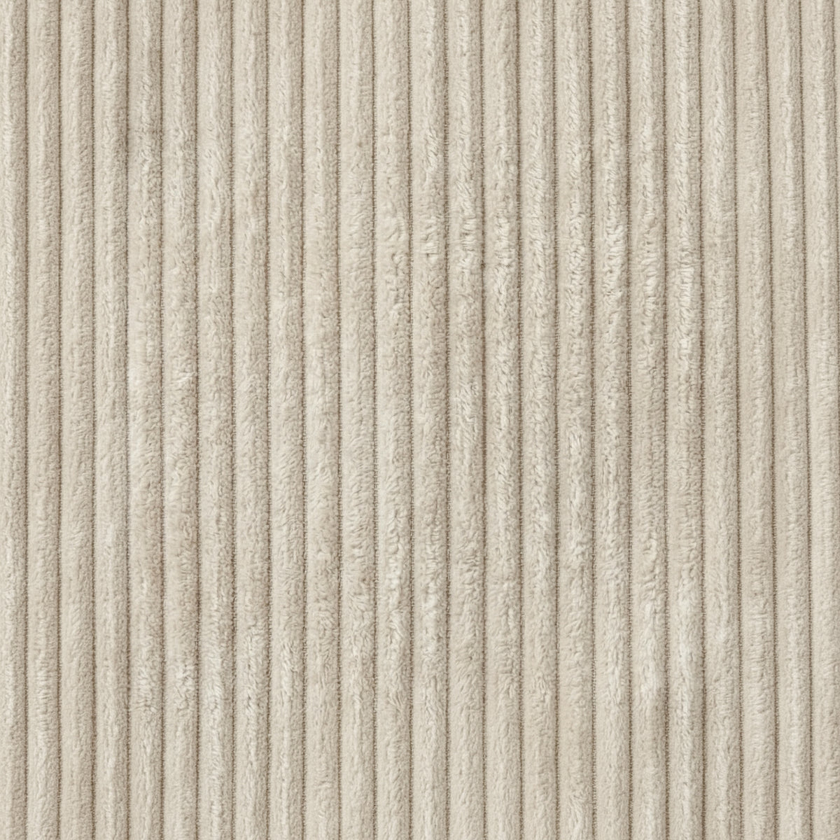 Close-up of Miracle Sofa Swatch in Corduroy, Cream, with wide plush ribs