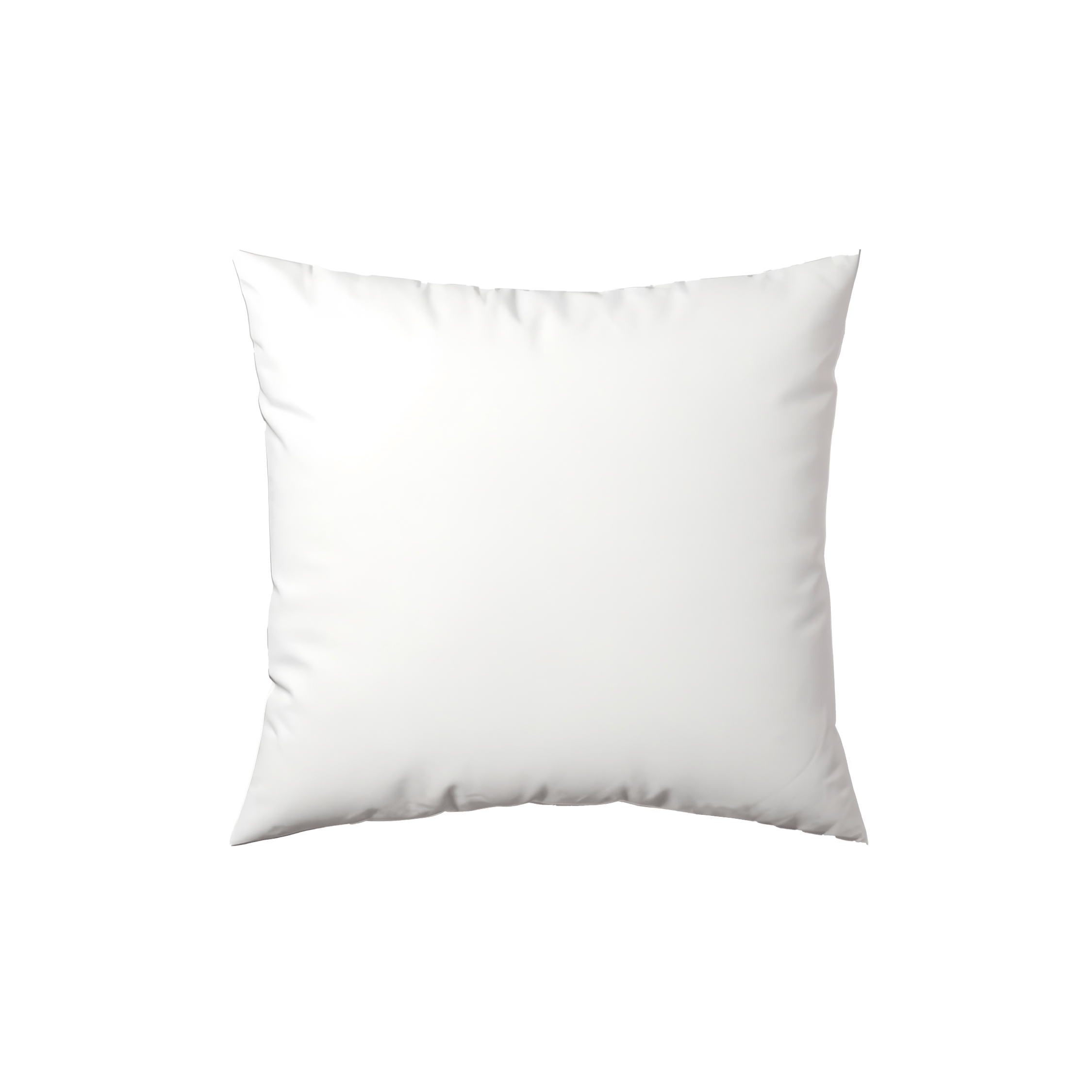 Pillow Insert White 20x20" Nolan Interior