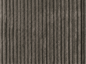 Corduroy