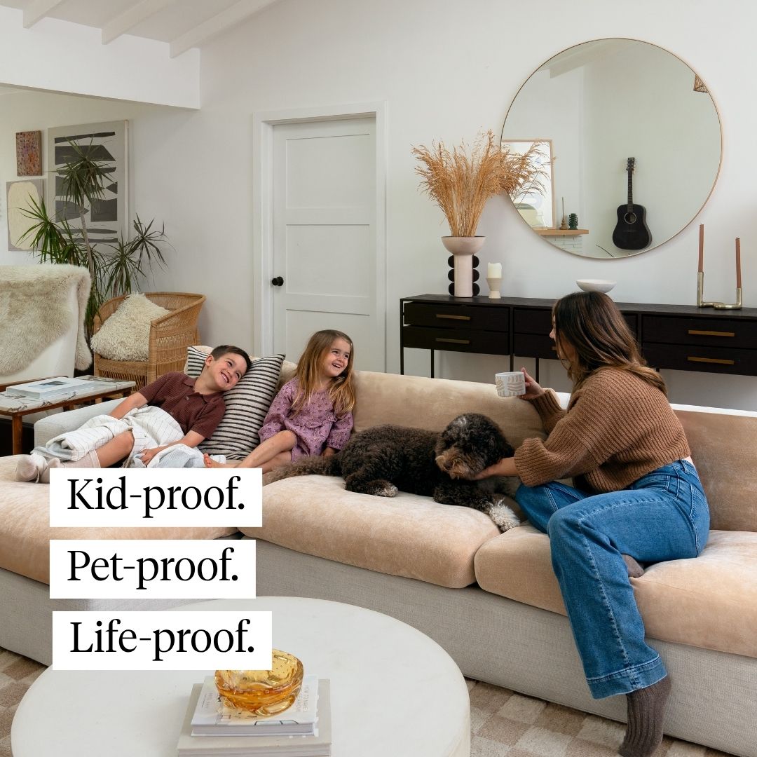 Protects your couch from real life