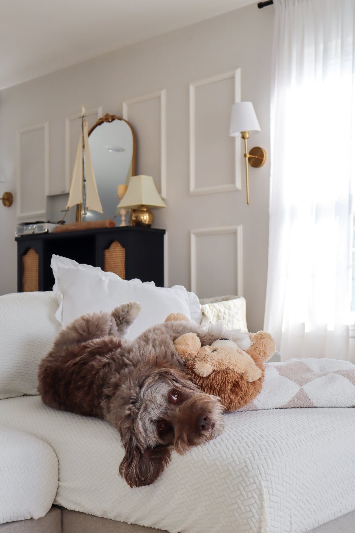 A dog resting on a sofa with a Nolan cover